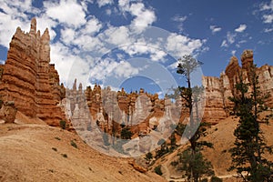 Bryce Canyonn
