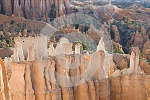 Bryce cayon glows in the early morning light