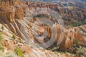 Bryce cayon glows in the early morning light