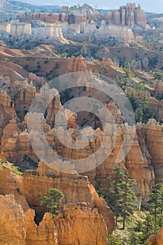 Bryce cayon glows in the early morning light