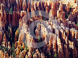 Bryce Hoodoos