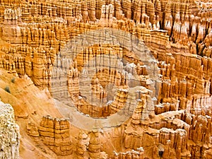 Bryce Hoodoos