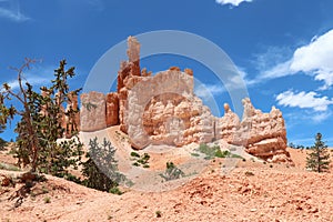 Bryce Hoodoos and Blue Sky