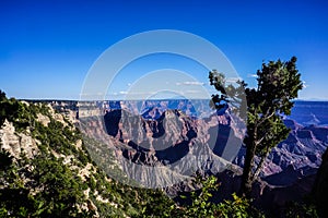 North Rim Grand Canyon Landscape View