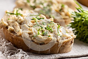 Bryndza spread with red pepper, garlic and chives. Bread with cheese spread
