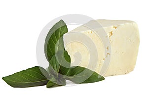 Brynza cheese with basil