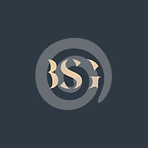BSG abstract letter logo