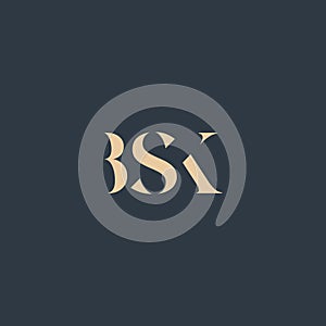 BSK abstract letter logo