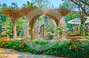 Bsmboo umbrellas in Mae Fah Luang garden, Doi Tung, Thailand