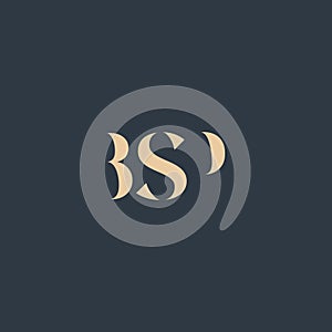 BSP abstract letter logo
