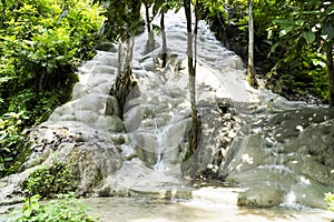 à¸ºBua Tong or Buatong Limestone waterfall in the jungle in Chiang Mai, Thailand. Limestone waterfall in the forest background