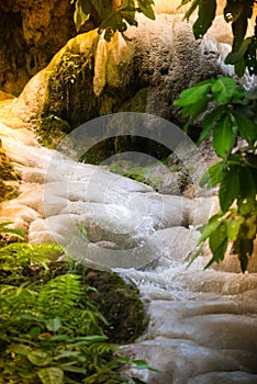 Bua Tong Waterfalls Sticky Waterfall Chiang Mai Thailand photo