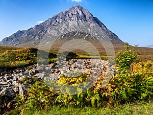 Buachaille Etive Mor in Autumn