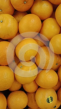 Buah jeruk orange fruit colony photo
