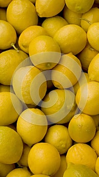 Buah lemon segar photo