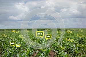 He bubble chat data the detect by futuristic technology in smart agriculture photo