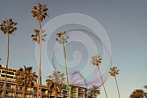 bubble among palm trees near building. summer vacation. soap bubbles.