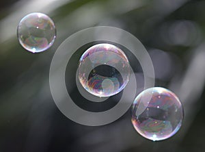 Bubbles