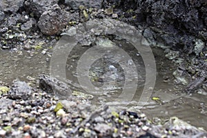 water boils on a volcano