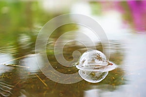 Bubbles caused by raining down.