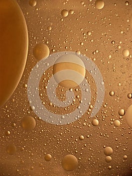 Bubbles during fermentation of beer