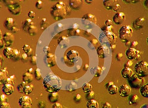 Bubbles (gold or yellow) photo