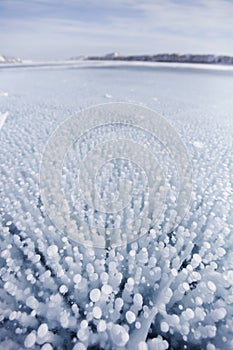 Bubbles in ice of Baikal lake. Winter landscape