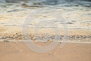 Bubbles left behind on the Beach