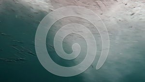 Bubbles passing by the hull of a motor boat as it travels through the ocean