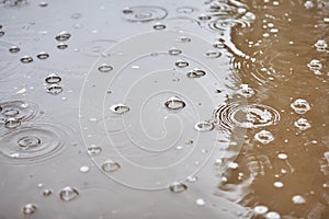 Bubbles from the rain on the surface of the water