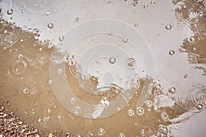 Bubbles from the rain on the surface of the water