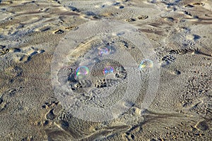 Bubbles on Sandy beach. Westport, New Zealand.