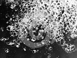 Bubbles watercolor black white froth