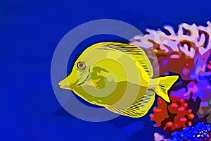 Bubbles, the yellow tang fish illustration