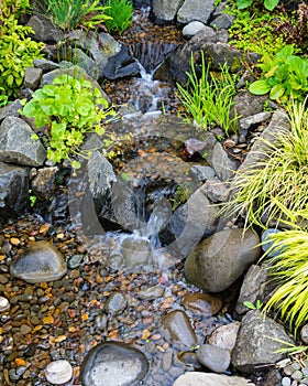 Bubbling brook water featuer