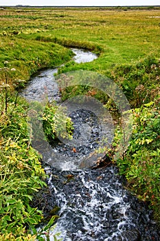 Bubbling Brooke Winding Through Meadow