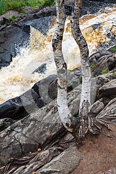 a bubbling fast cold river with cliffs and waterfalls, a mountain river with rapids