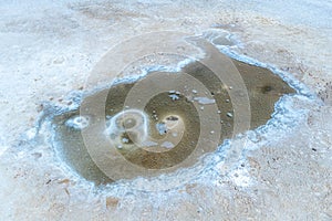 Bubbling lagoons in the Salar de Uyuni, Bolivia