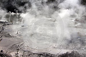 Bubbling mud pool