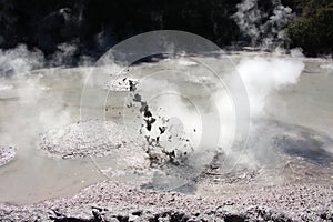 Bubbling mud pool photo