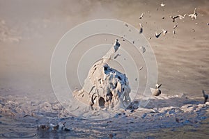 Bubbling mud pot in geothermal park in New Zeland