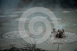 Bubbling Mud releasing Hydrogen Sulphide Gas. Geothermal Activity in Waitapu, New Zealand