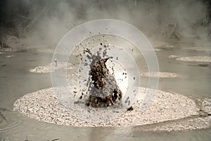 Bubbling mud in Rotorua