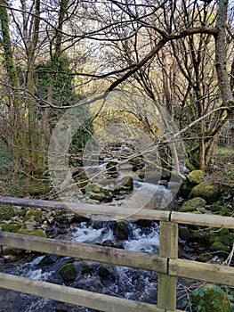 Bubbling stream in wales