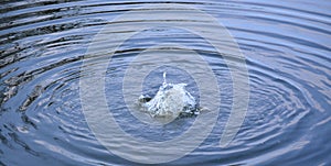 Bubbling water level of the lake