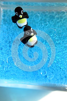 Bubbly Penguins