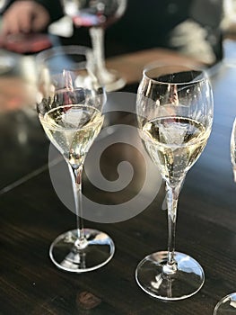 Bubbly Wine tasting coming to life