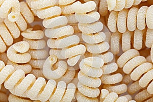 Bucati fusilli pasta background. Uncooked fusilli corti bucati pasta isolated on white background. Close-up