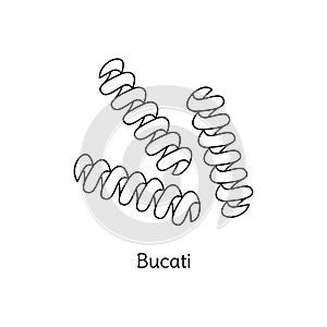 Bucati pasta illustration. Vector doodle sketch. Traditional Italian food. Hand-drawn image for engraving or coloring