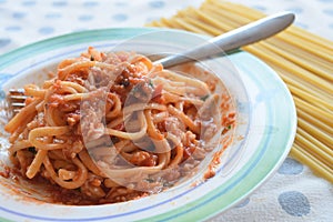 Bucatini with fish sauce
